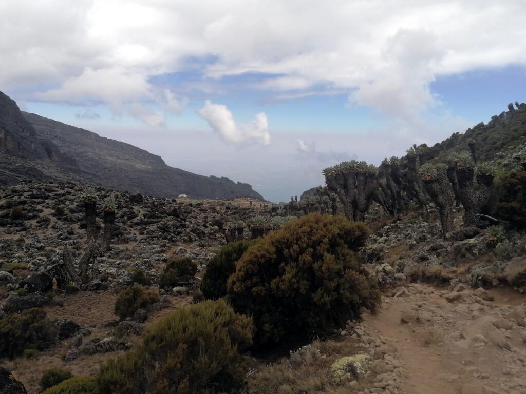 Kilimandscharo & Meru