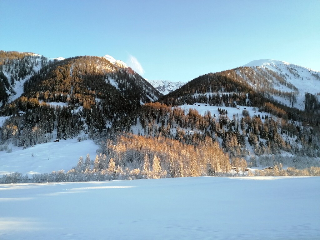 Walliser Alpen