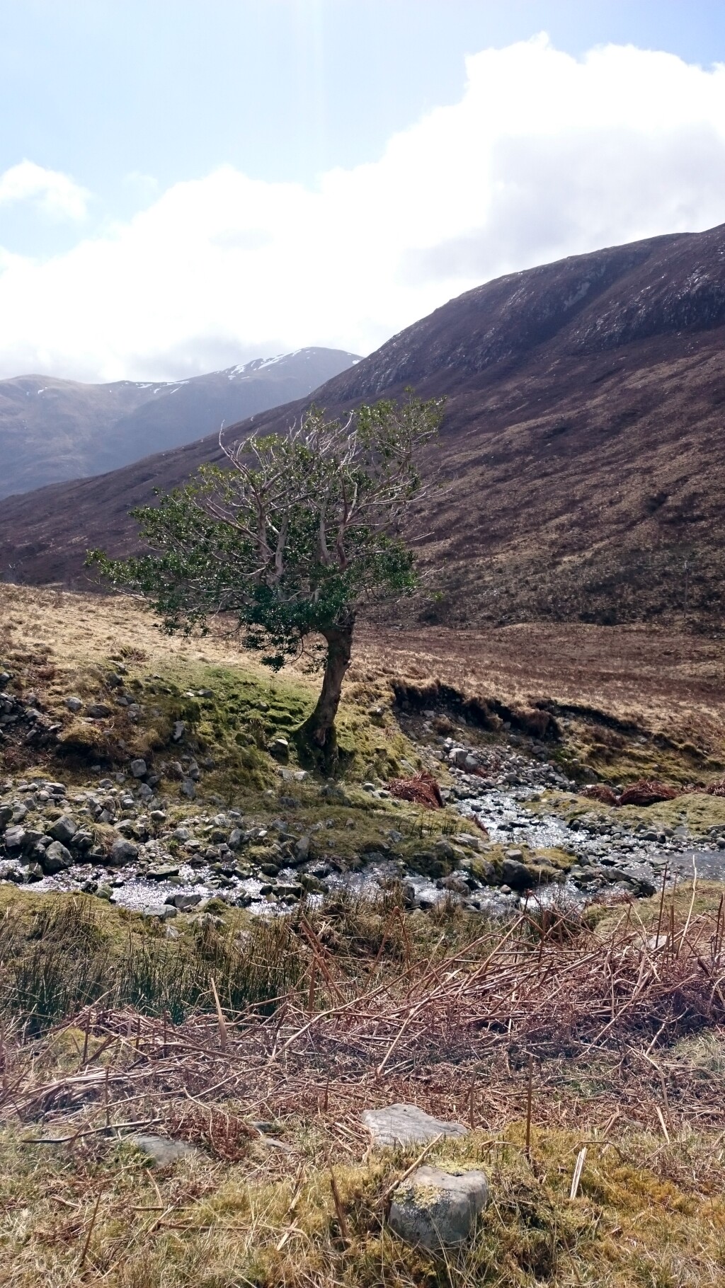 West Highland Way