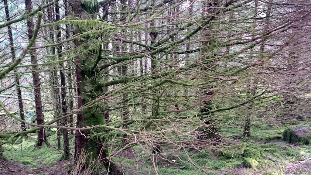 West Highland Way